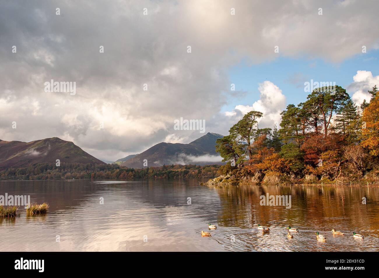 Lake reflecting autumn colours and skies Stock Photo - Alamy