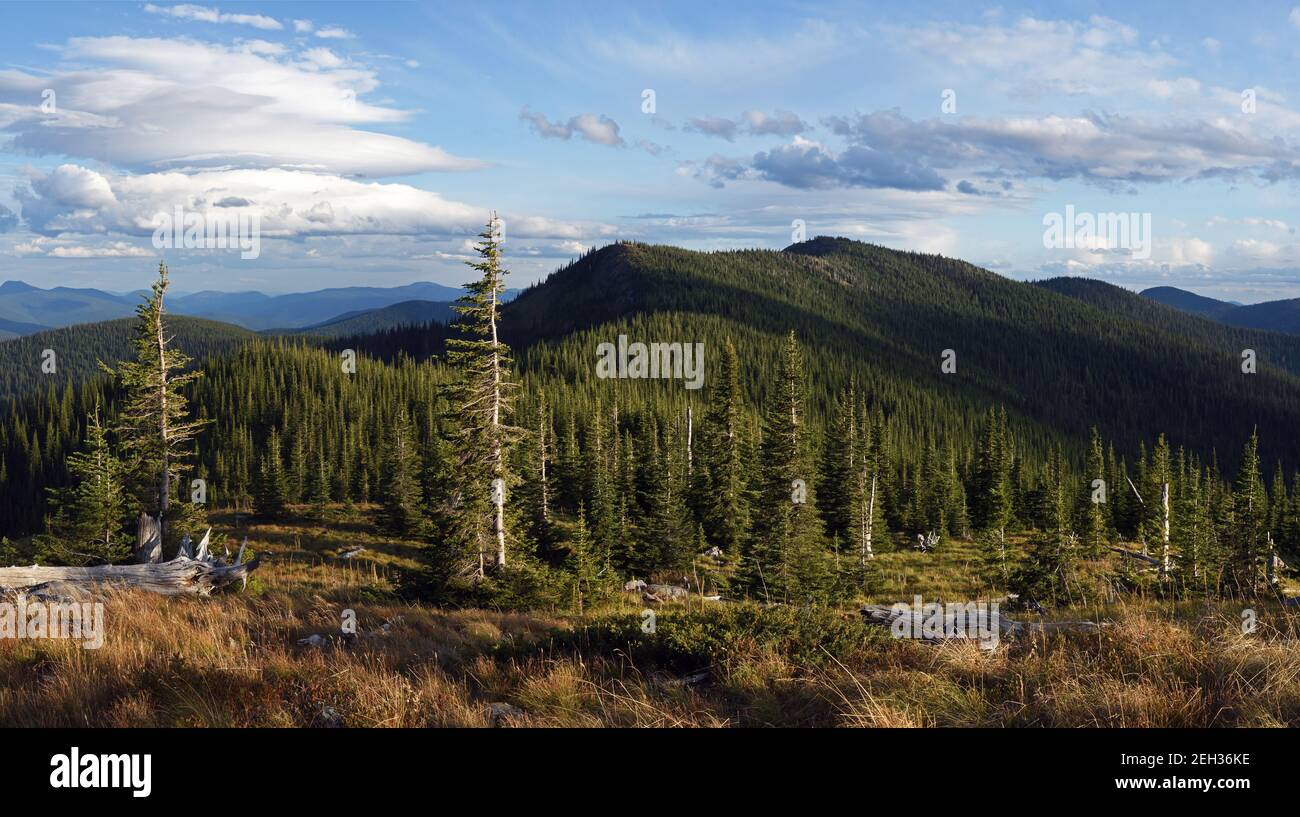 Buckhorn Ridge Roadless Area in summer. Kootenai National Forest in the Purcell Mountains, northwest Montana. (Photo by Randy Beacham) Stock Photo