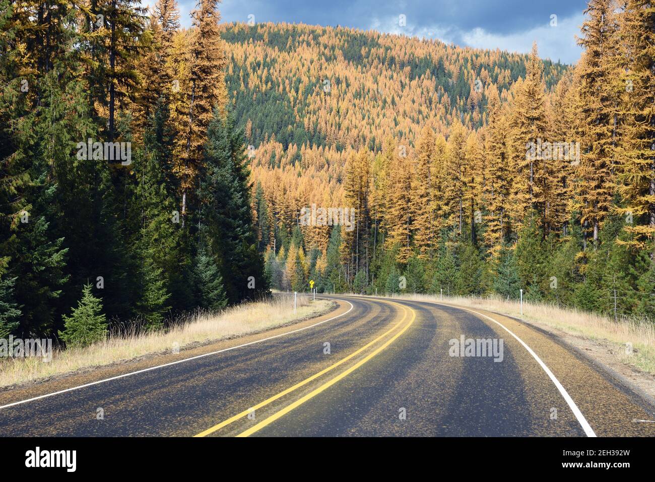 Yaak River Road in fall colors