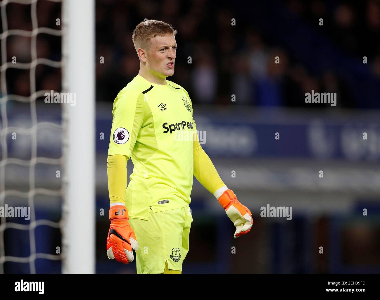 jordan pickford v newcastle