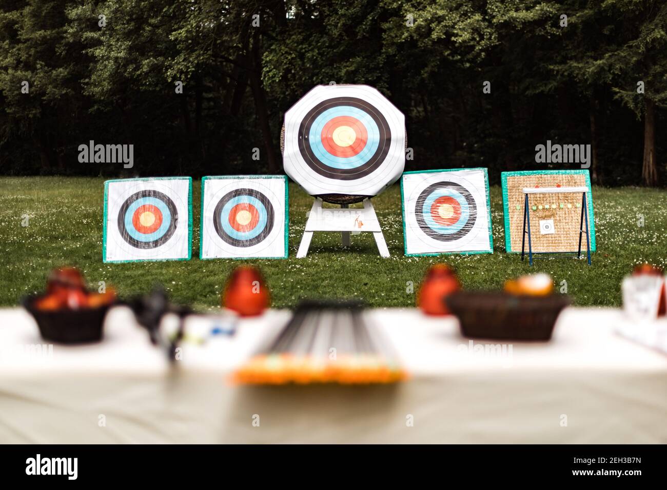 photo of a target board game in the garden Stock Photo