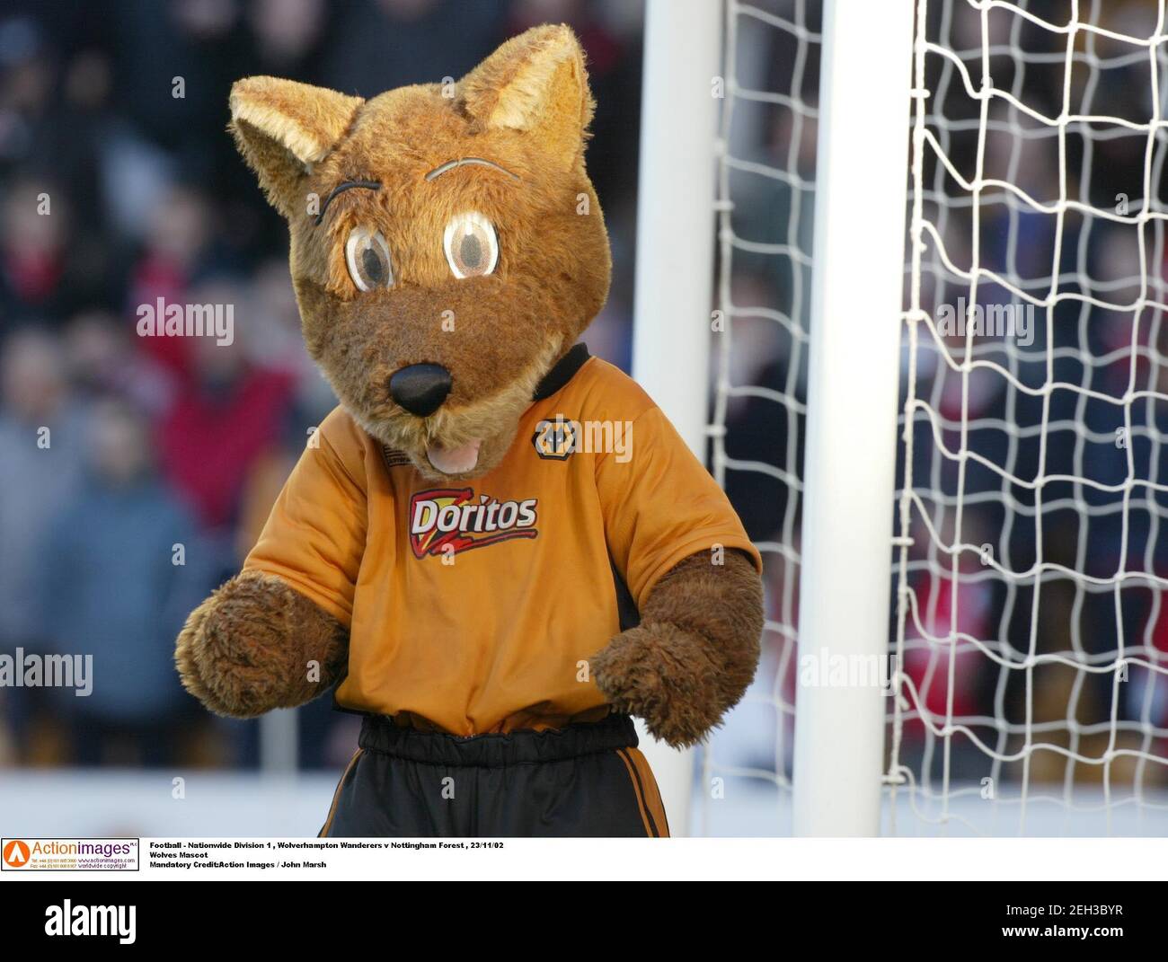 Nottingham Forest Mascot High Resolution Stock Photography and Images