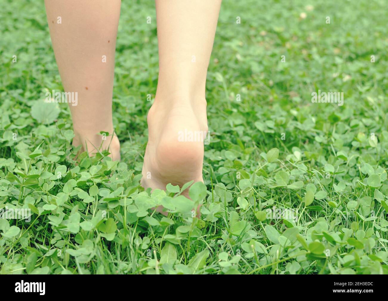 Foots of a child, viewed from the back, walking in the green grass field, selective focus, close up, retro style Stock Photo