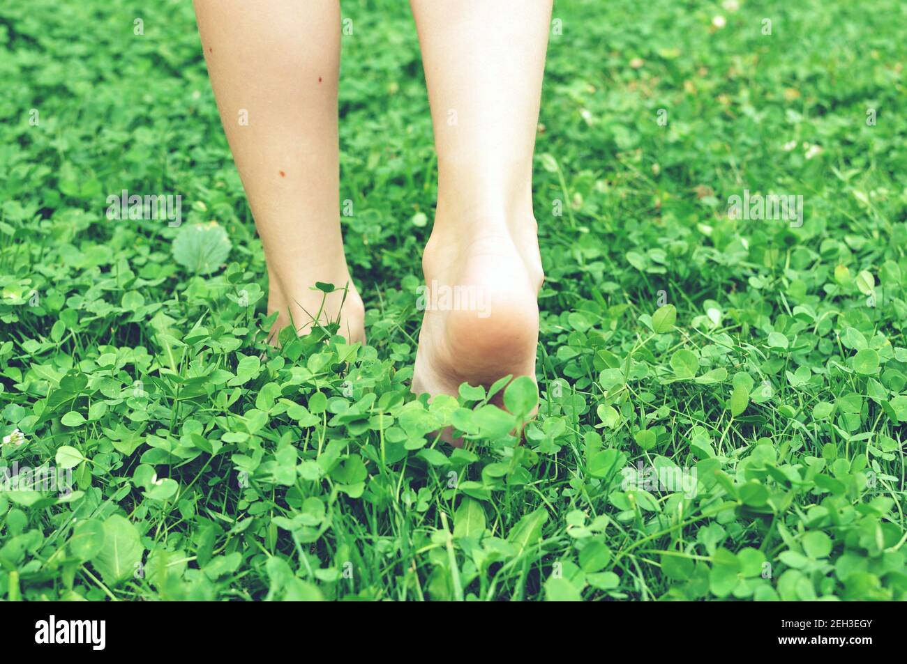 Foots of a child, viewed from the back, walking in the green grass field, selective focus, close up, bokeh Stock Photo