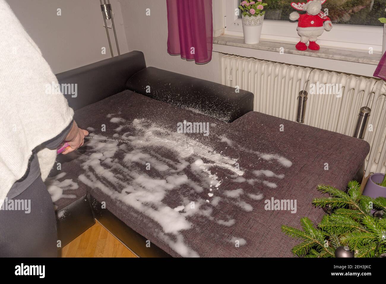 Sofa dry cleaning with professional extraction method. Upholstered