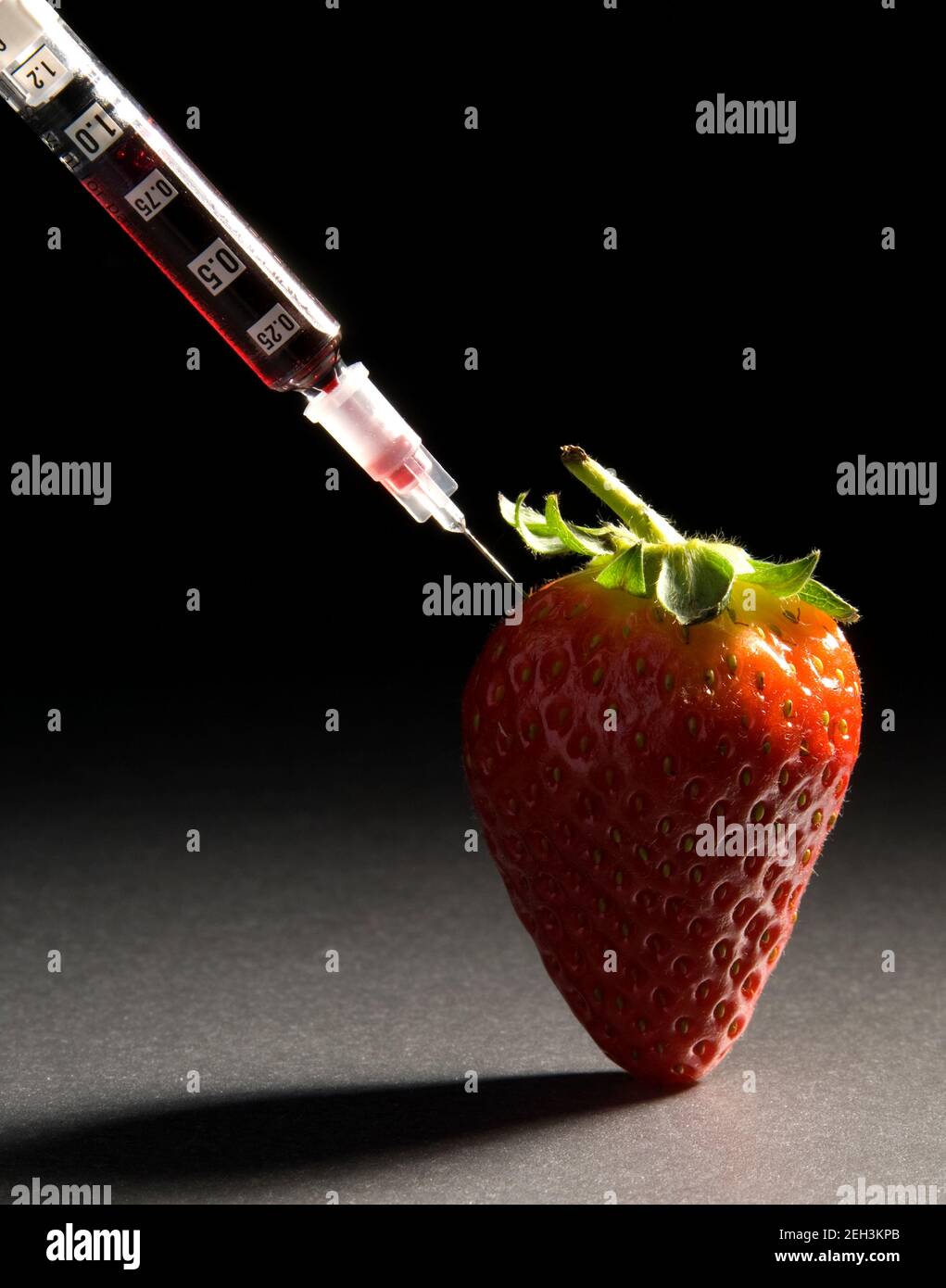 Strawberry injected with red dye. Stock Photo