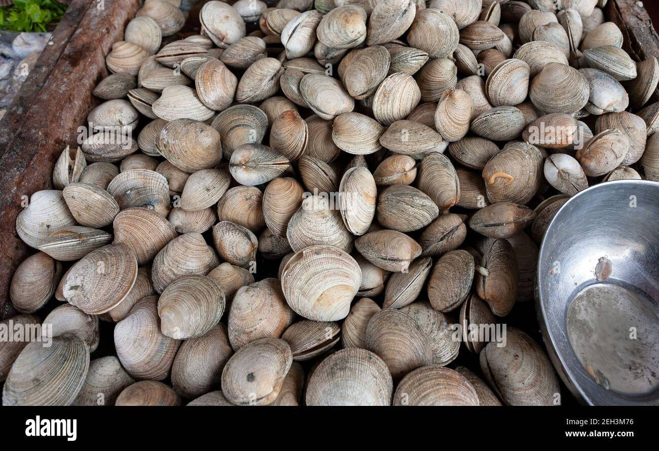 Clams only sale