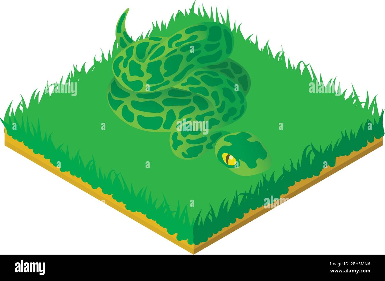 Green Anaconda Icon. Isometric Illustration Of Green Anaconda Vector ...