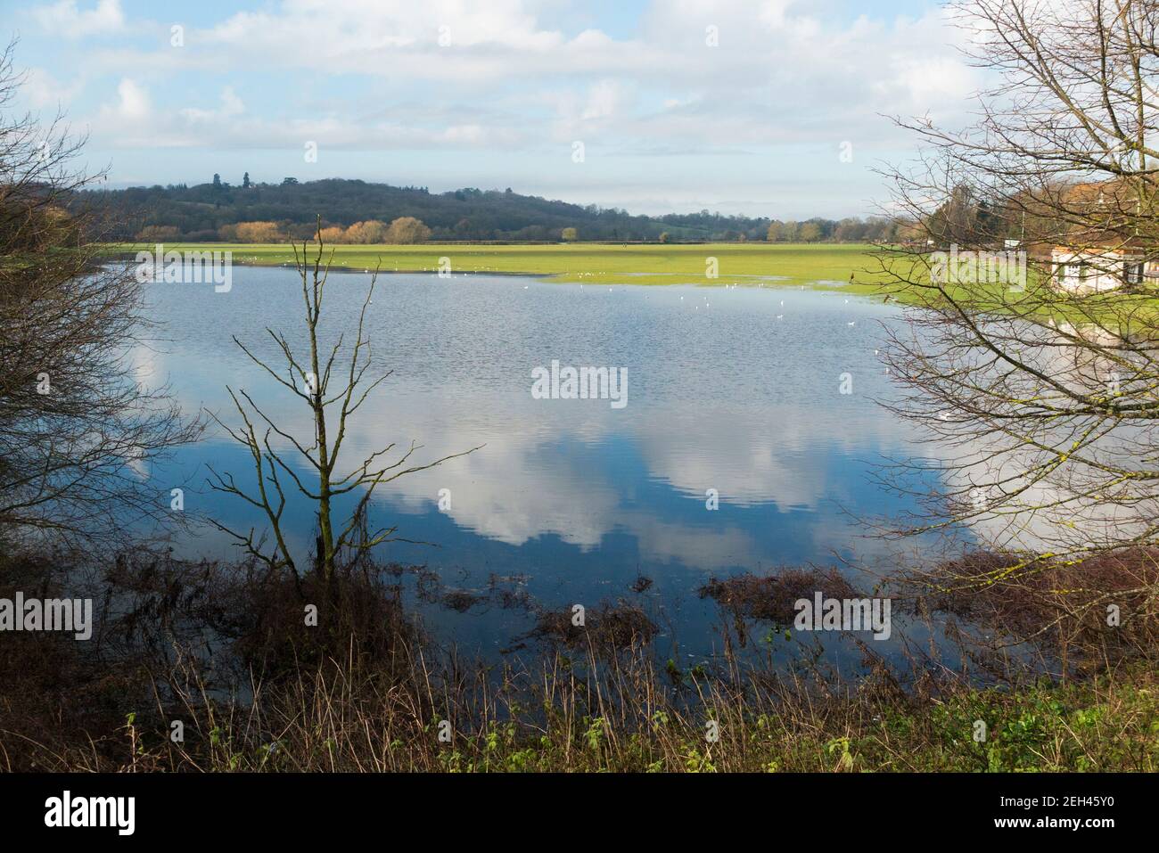 Runnymede meadows & flood plain, site of the signing of Magna Carta in year 1215 by King John & the English Barons. Surrey. UK. Winter day with sunny sun and blue sky skies. UK (123) Stock Photo