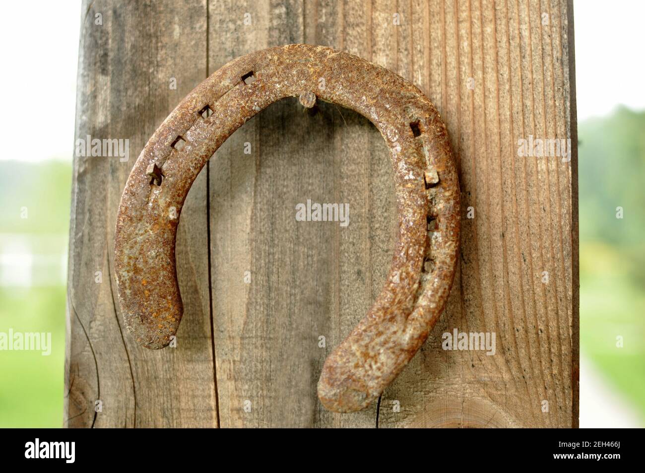 Close up of an horseshoe (clout) hanged on an wooden pillar. Stock Photo