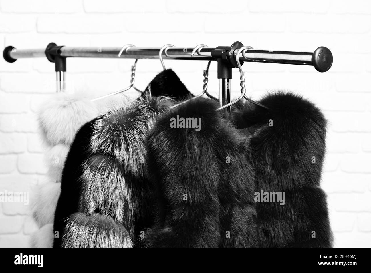 fashionable luxurious waist coats of fur hanging on rack on golden hangers on brick wall studio background Stock Photo