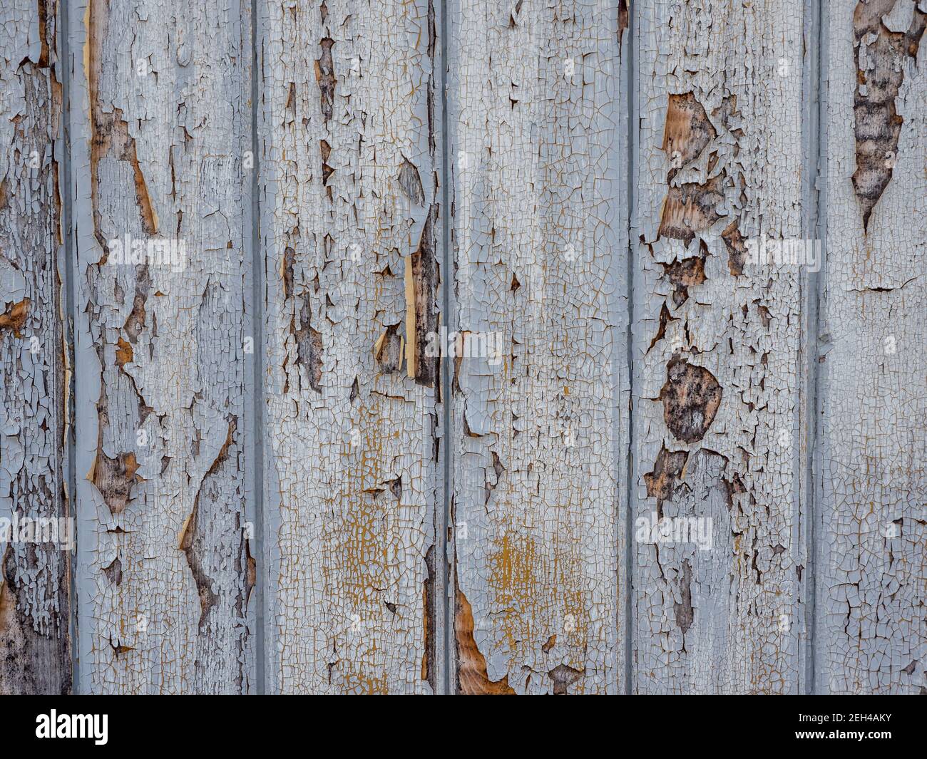 White painted weathered wood background Stock Photo