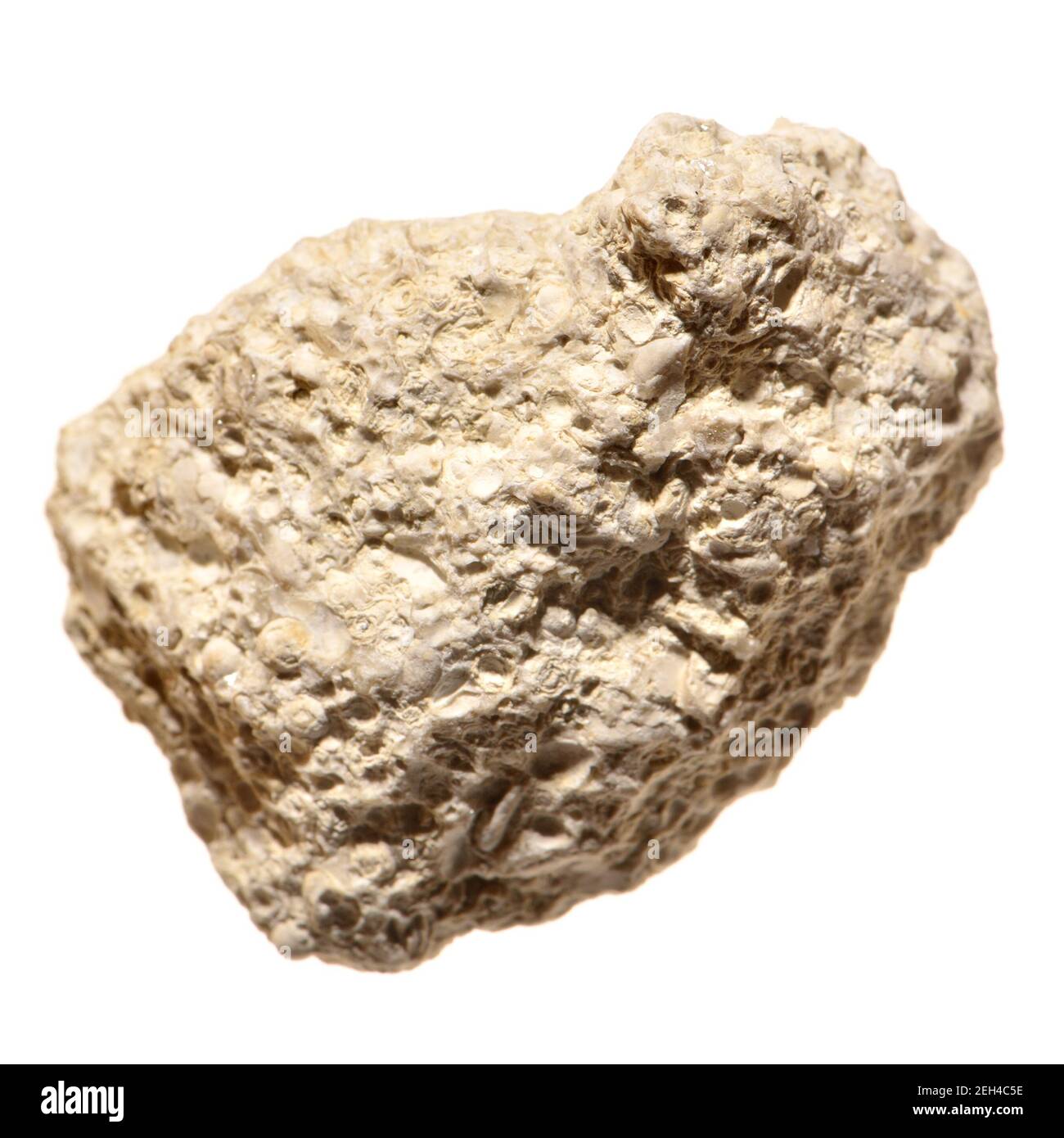 White Granite (UK) Igneous Rock containing silica and quartz. Closeup of a small sample Stock Photo