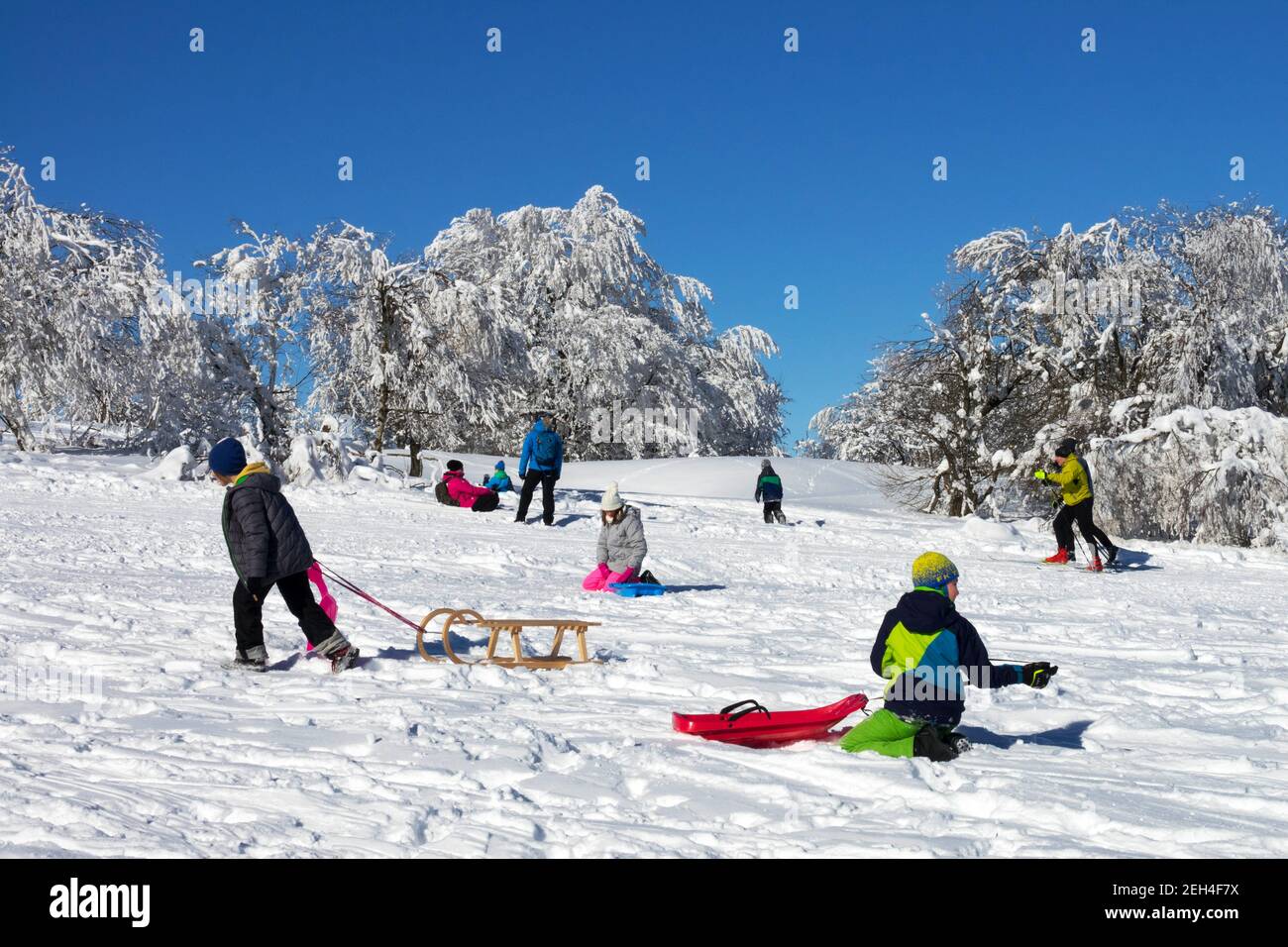 Children sledding in winter in snow enjoying sunny day Stock Photo