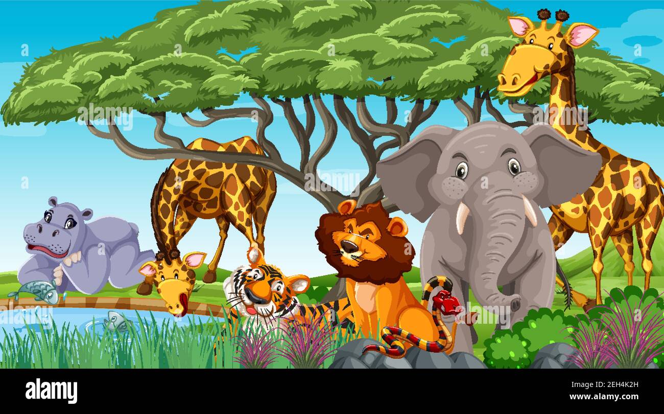 Wild animals in the jungle illustration Stock Vector Image & Art - Alamy