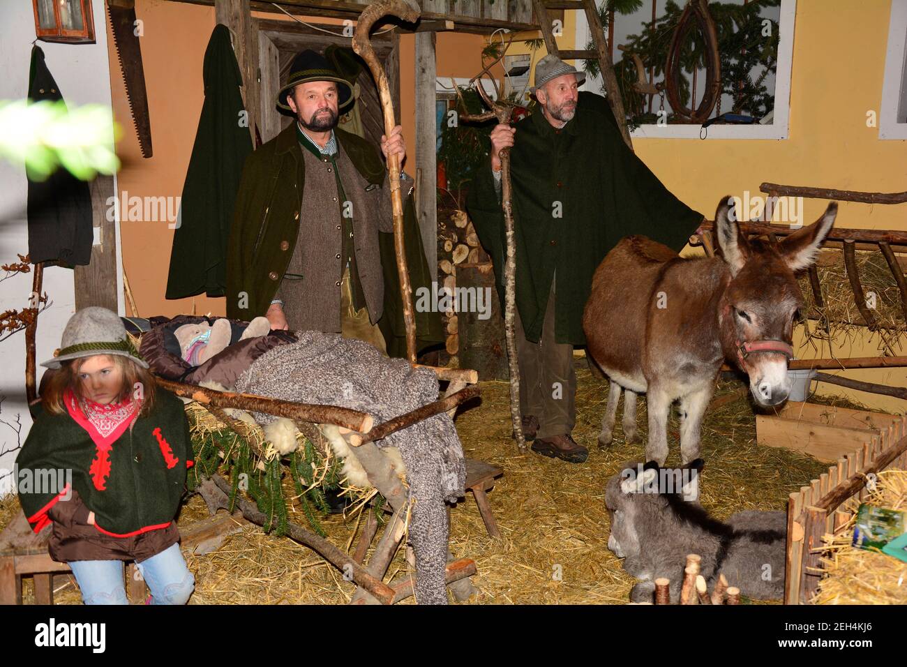 Rohr im Gebirge, Austria - December 14th 2014: Unidentified people with donkey performed a living crib in the rural village in Lower Austria Stock Photo