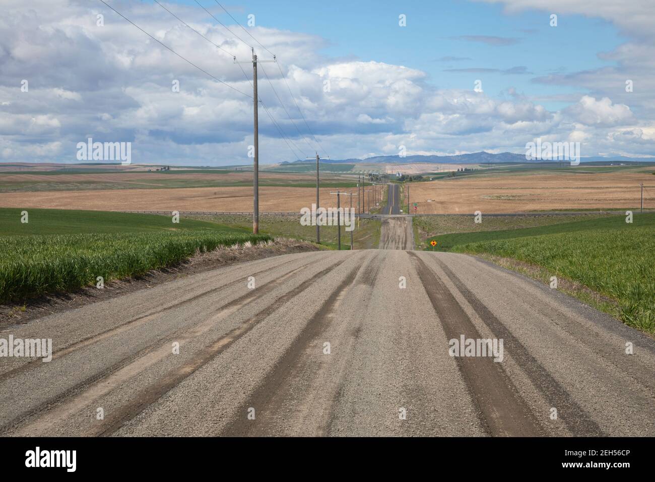 Empty rural road, Washington State, USA. Stock Photo