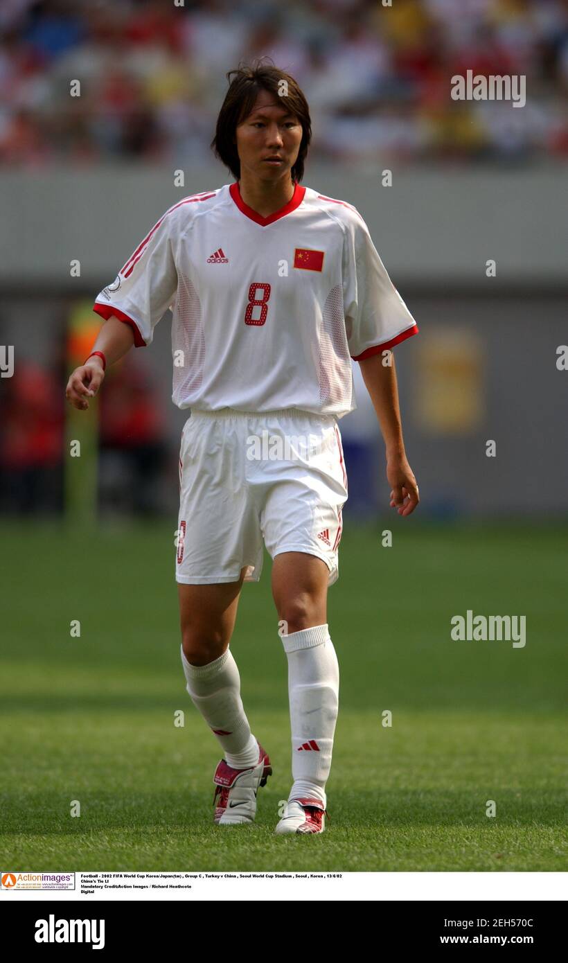 サッカー 2002 WORLD CUP KOREA/JAPAN 決勝の芝