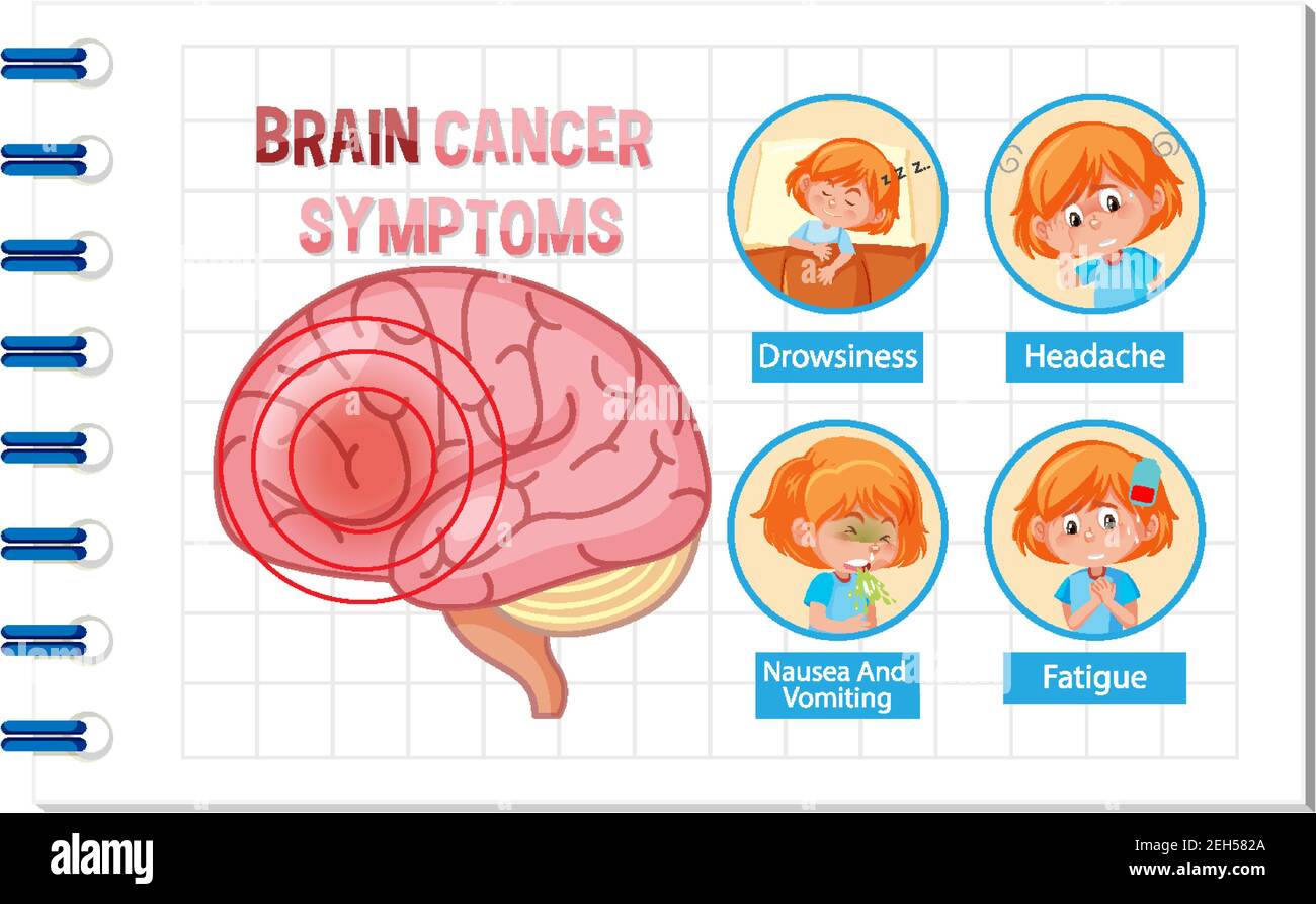 Information poster of human brain diagram illustration Stock Vector