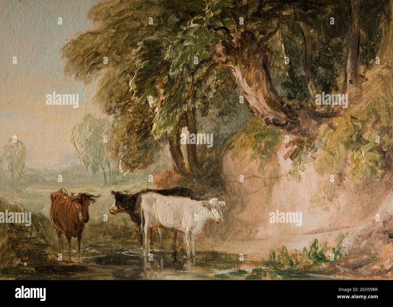 Pastoral Scene With Cattle, [19th century] Stock Photo - Alamy