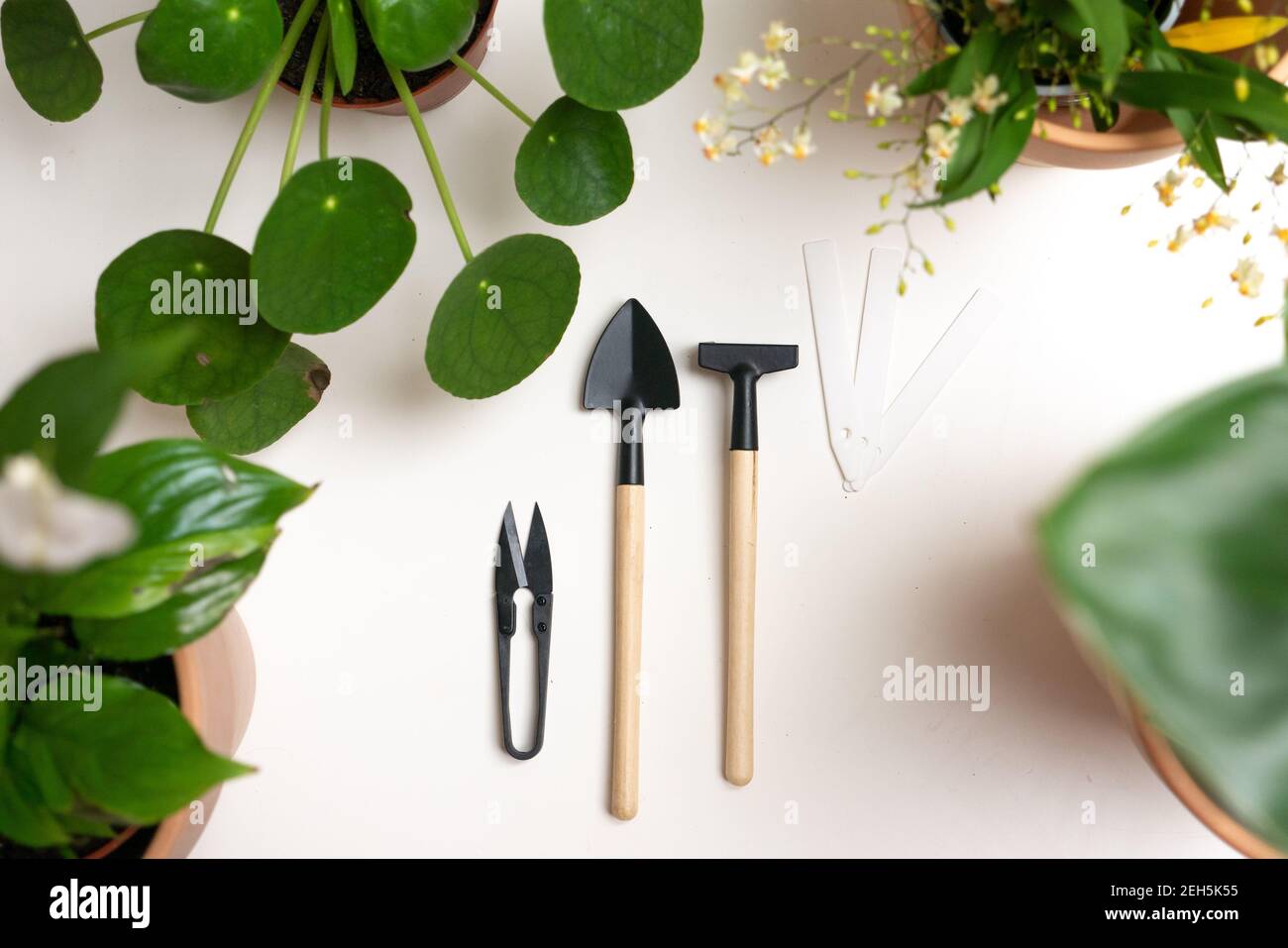 Gardening tools accessories miniature flat lay white indoor shovel