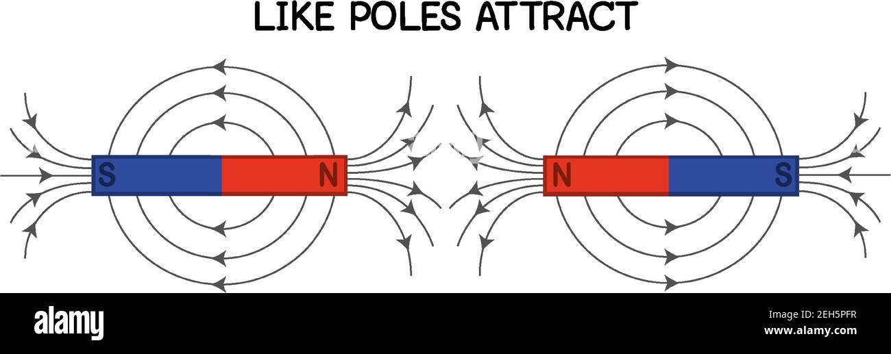 Attraction of magnet, like poles attract diagram illustration Stock Vector  Image & Art - Alamy