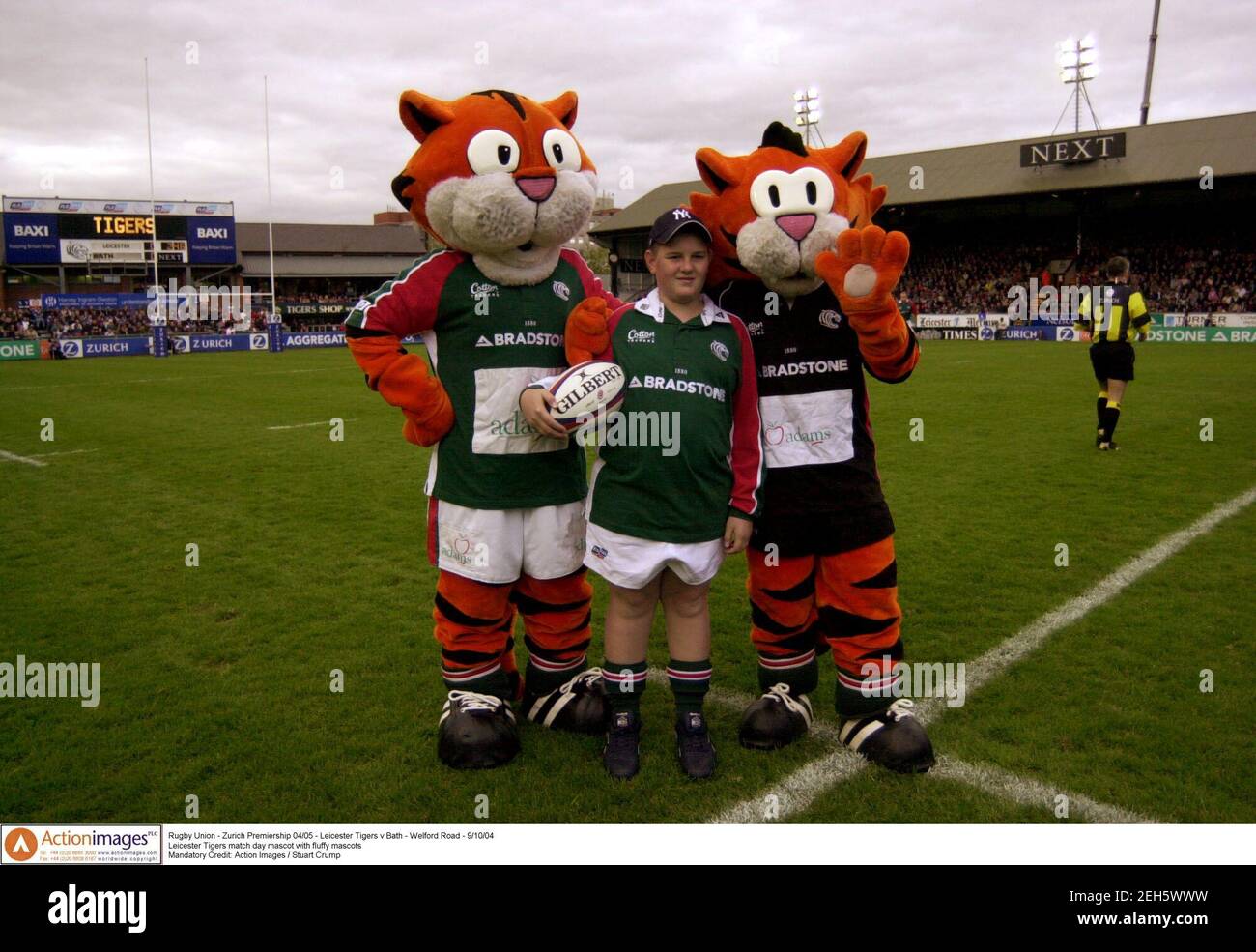 Leicester tigers mascot welford hi-res stock photography and images - Alamy