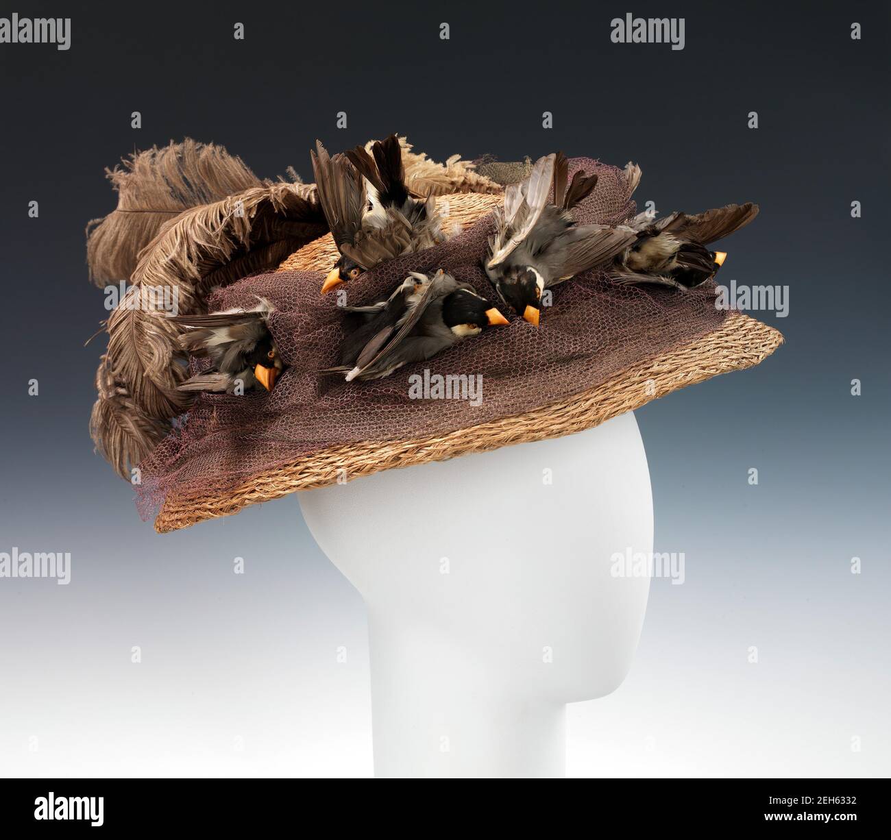 Victorian hat with feathers hi-res stock photography and images - Alamy