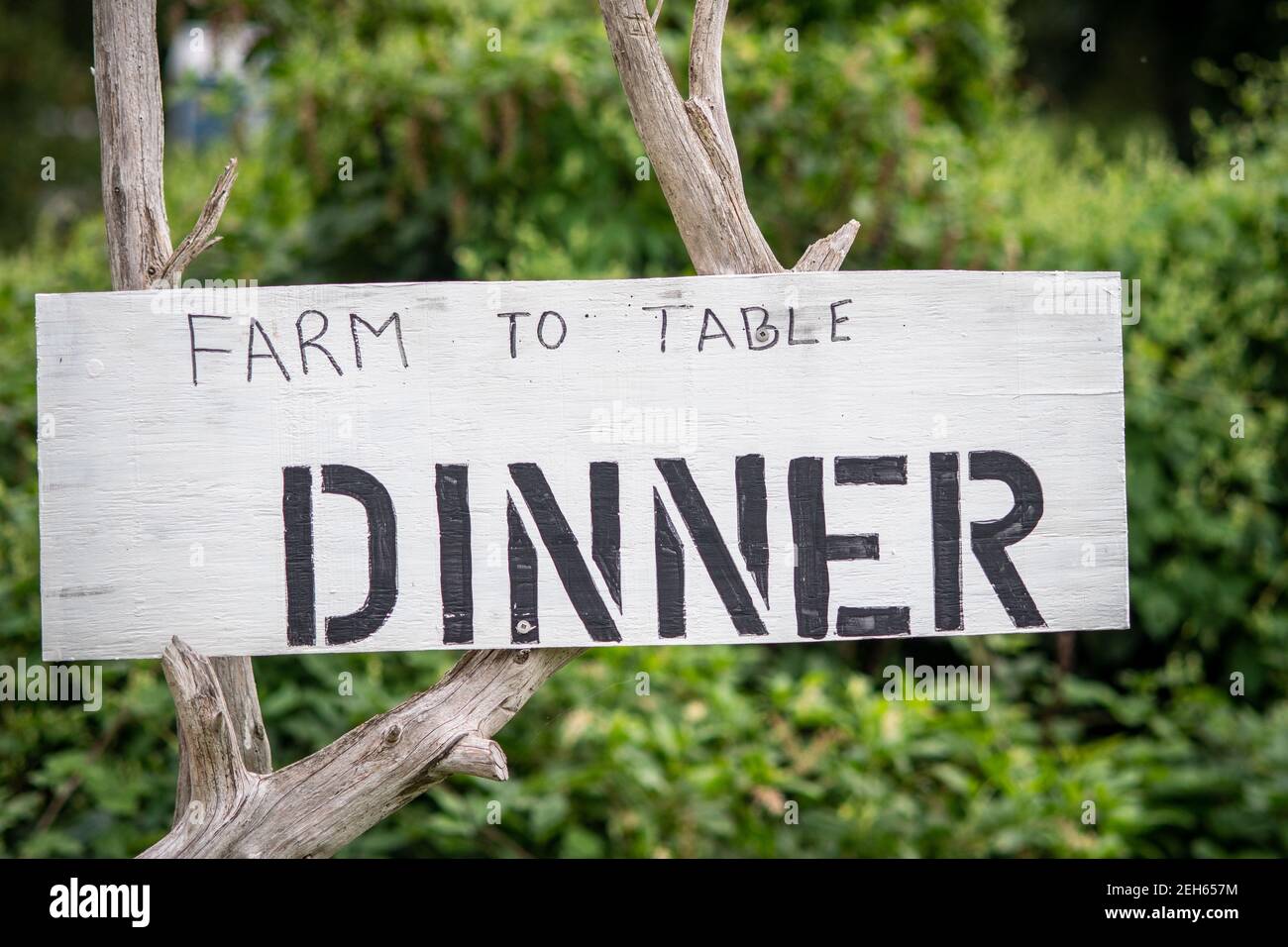 Homemade sign reading 'Farm to Table Dinner' ,Conowingo, Maryland Stock Photo