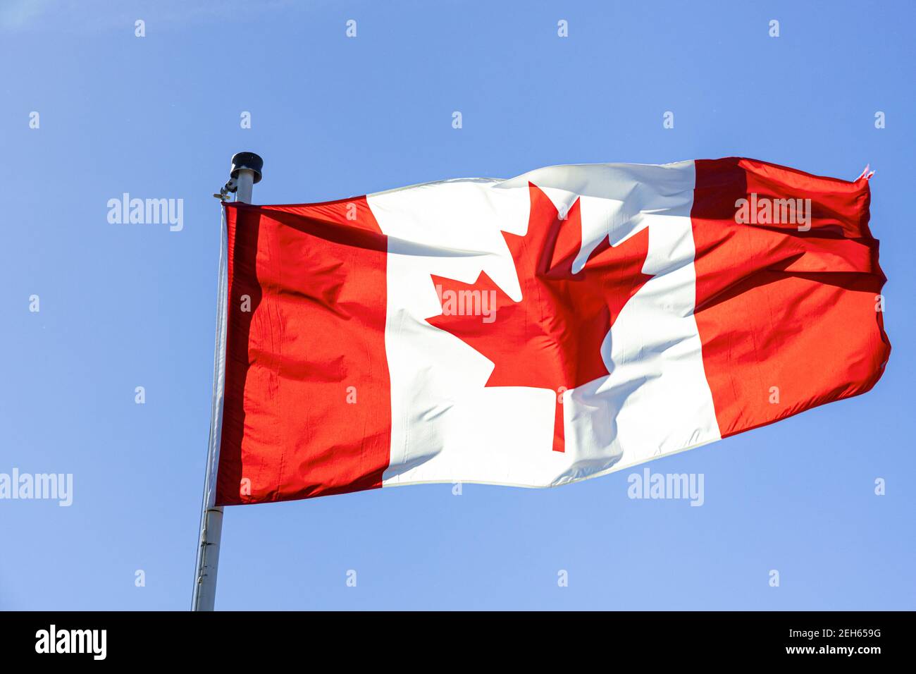 The Canadian national flag fllying against a clear blue sky. Stock Photo