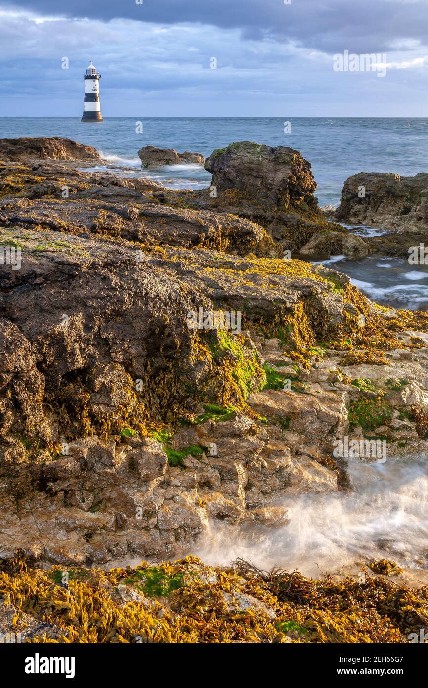 Penmon Point lighthouse in the morning sun, Anglesey, North Wales Stock Photo