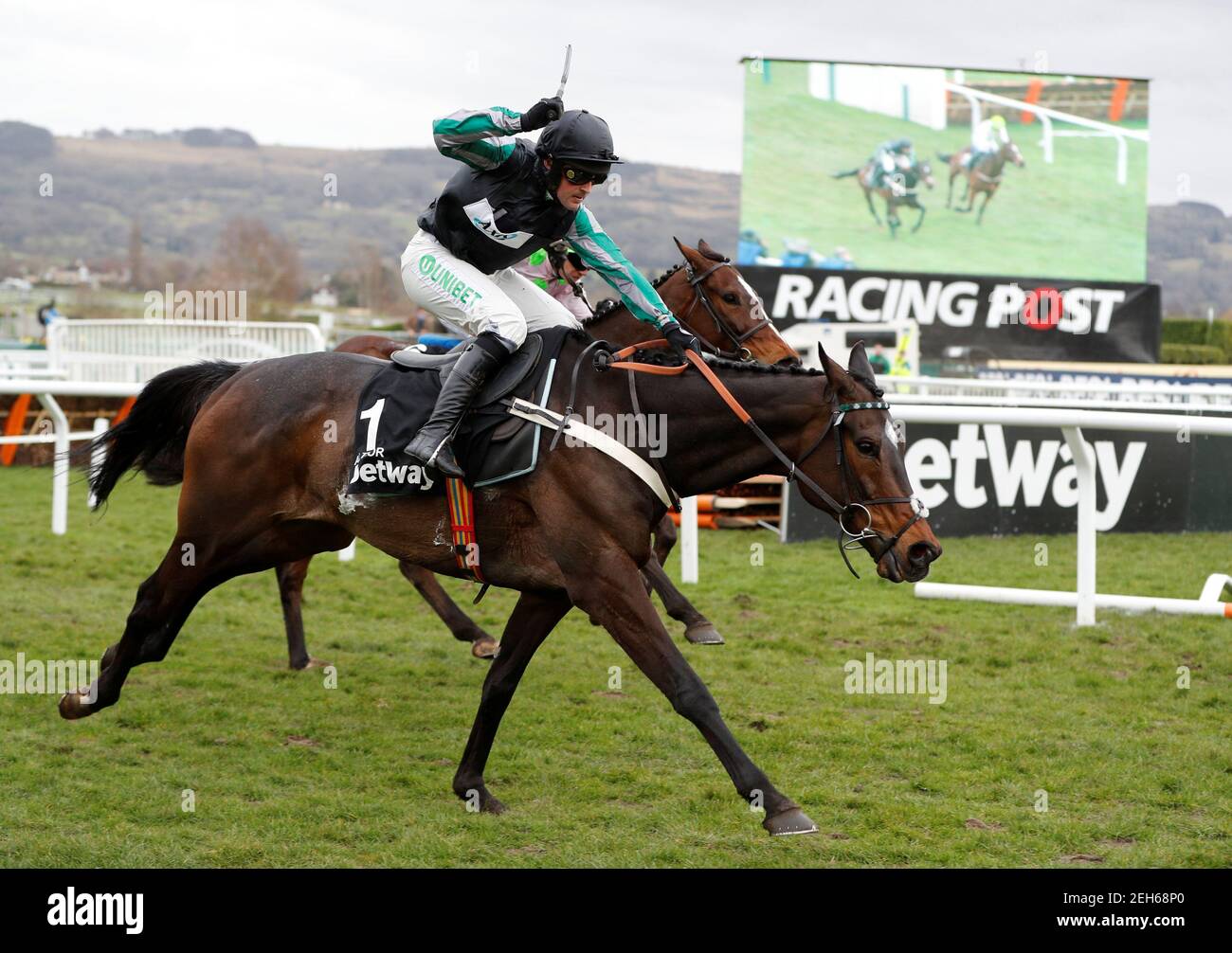 Altior High Resolution Stock Photography And Images Alamy