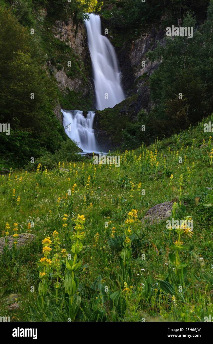 Pish Salto del pish hi-res stock photography and images - Alamy