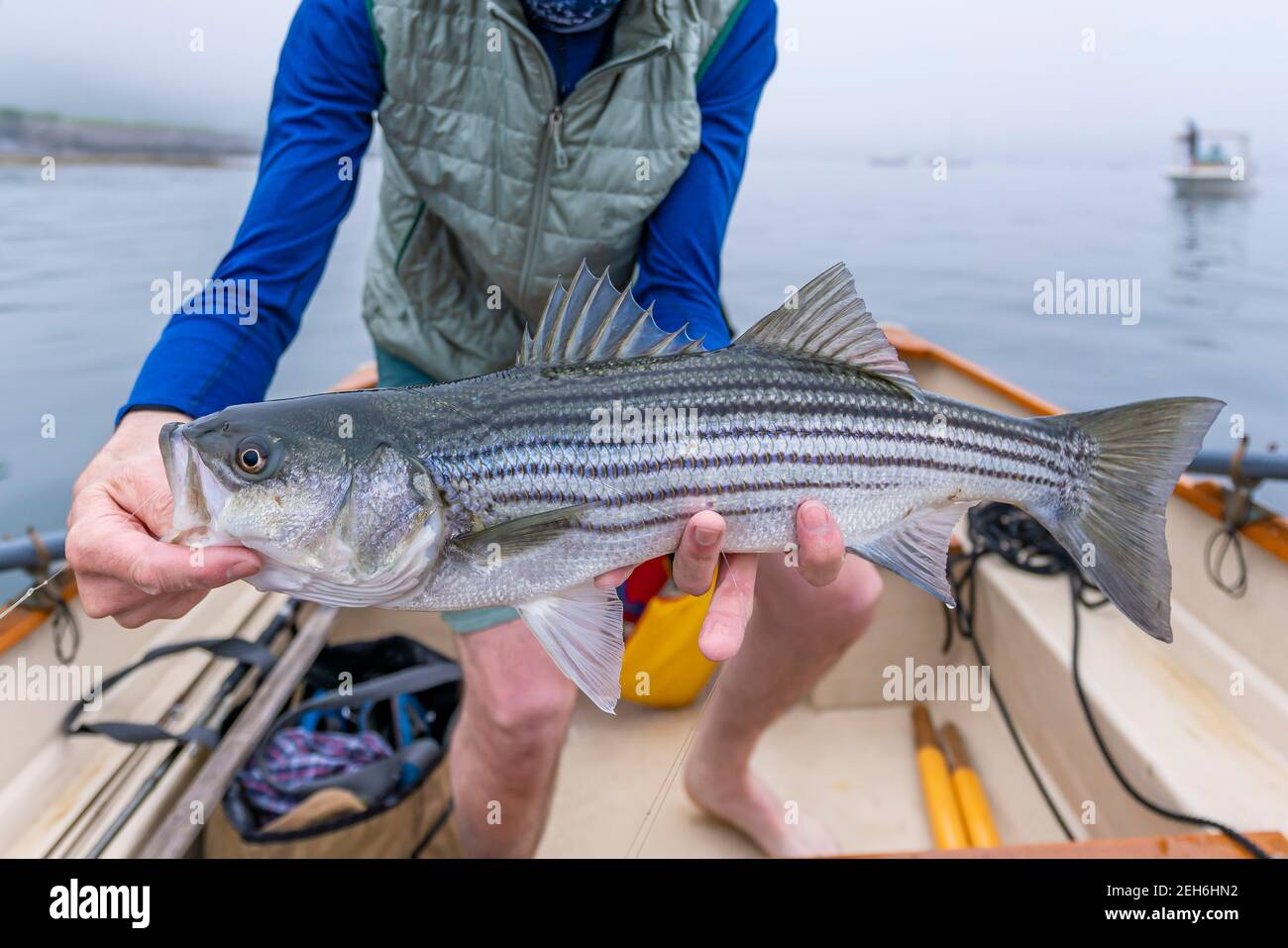 Striper fishing hi-res stock photography and images - Alamy
