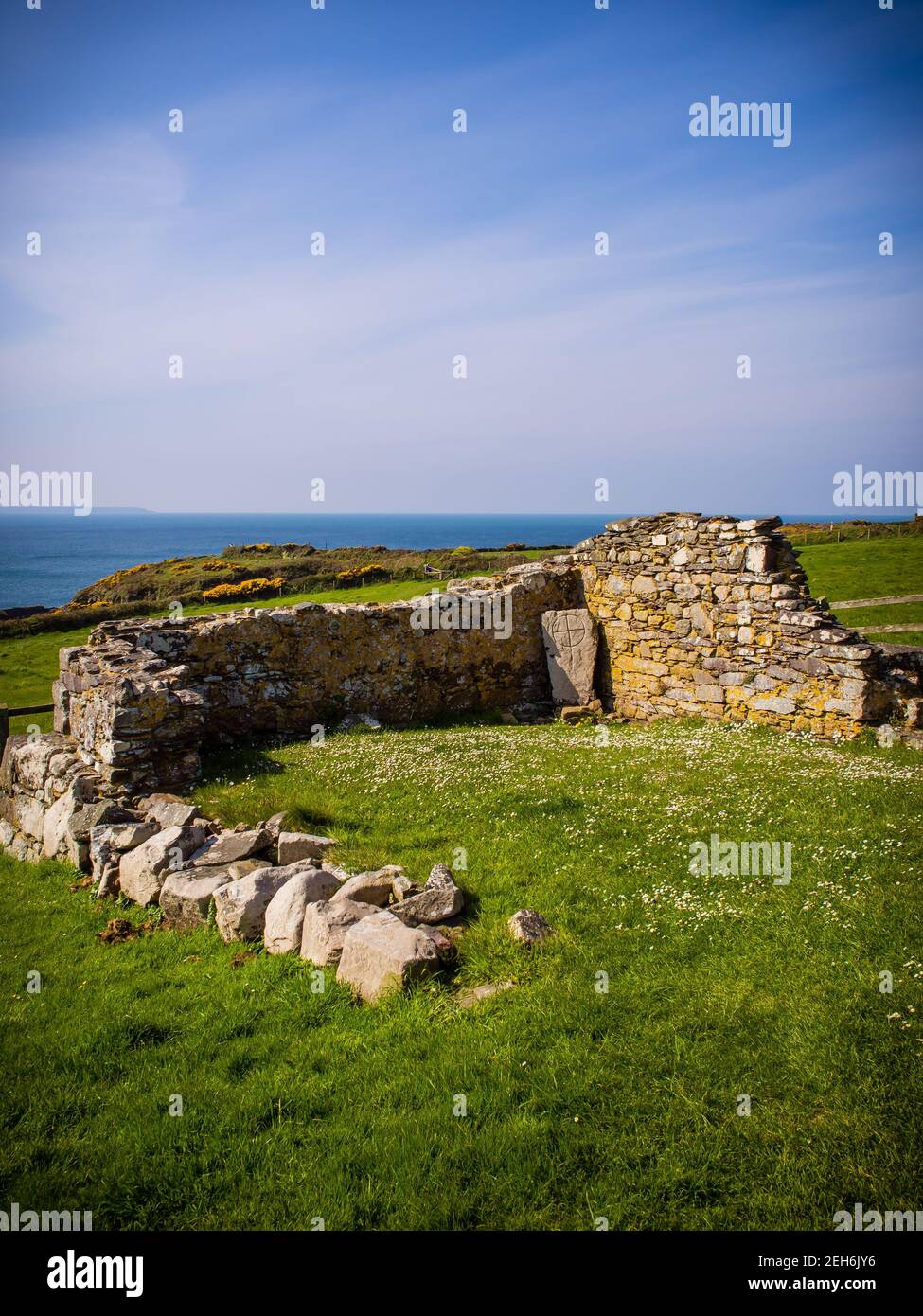 The ruins of St Non's Chapel in St Davids, West Wales, where St David is reputed to have been born Stock Photo