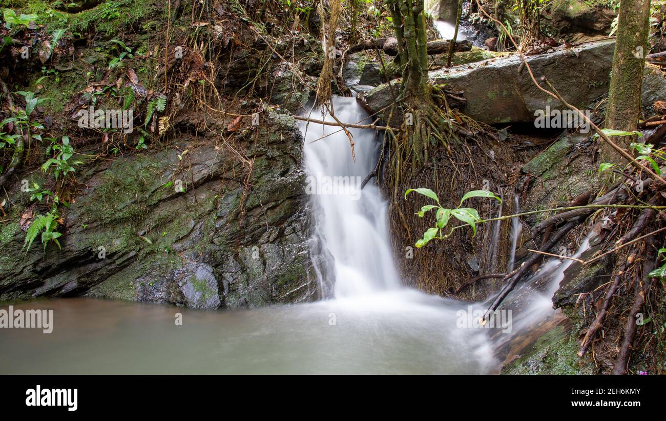 Small Spring Flowing From Rocks Beautiful scene of the spring flowing through the rocks into the lake ...