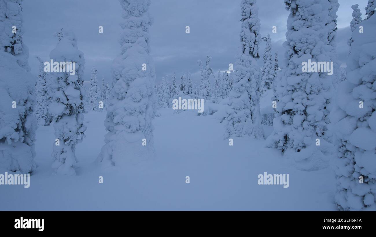 Wintery Landscape In Pallas Yll stunturi National Park Muonio Lapland Wintery Landscape In Pallas Yll stunturi National Park Muonio Lapland