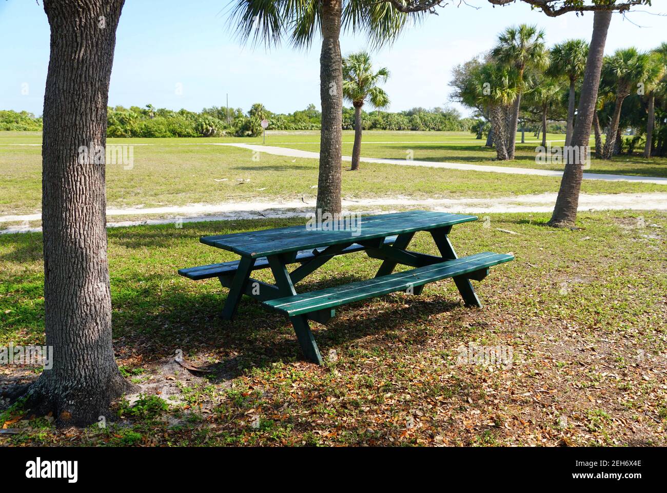 A green painted picnic table near Fort Desoto Park, St Petersburg
