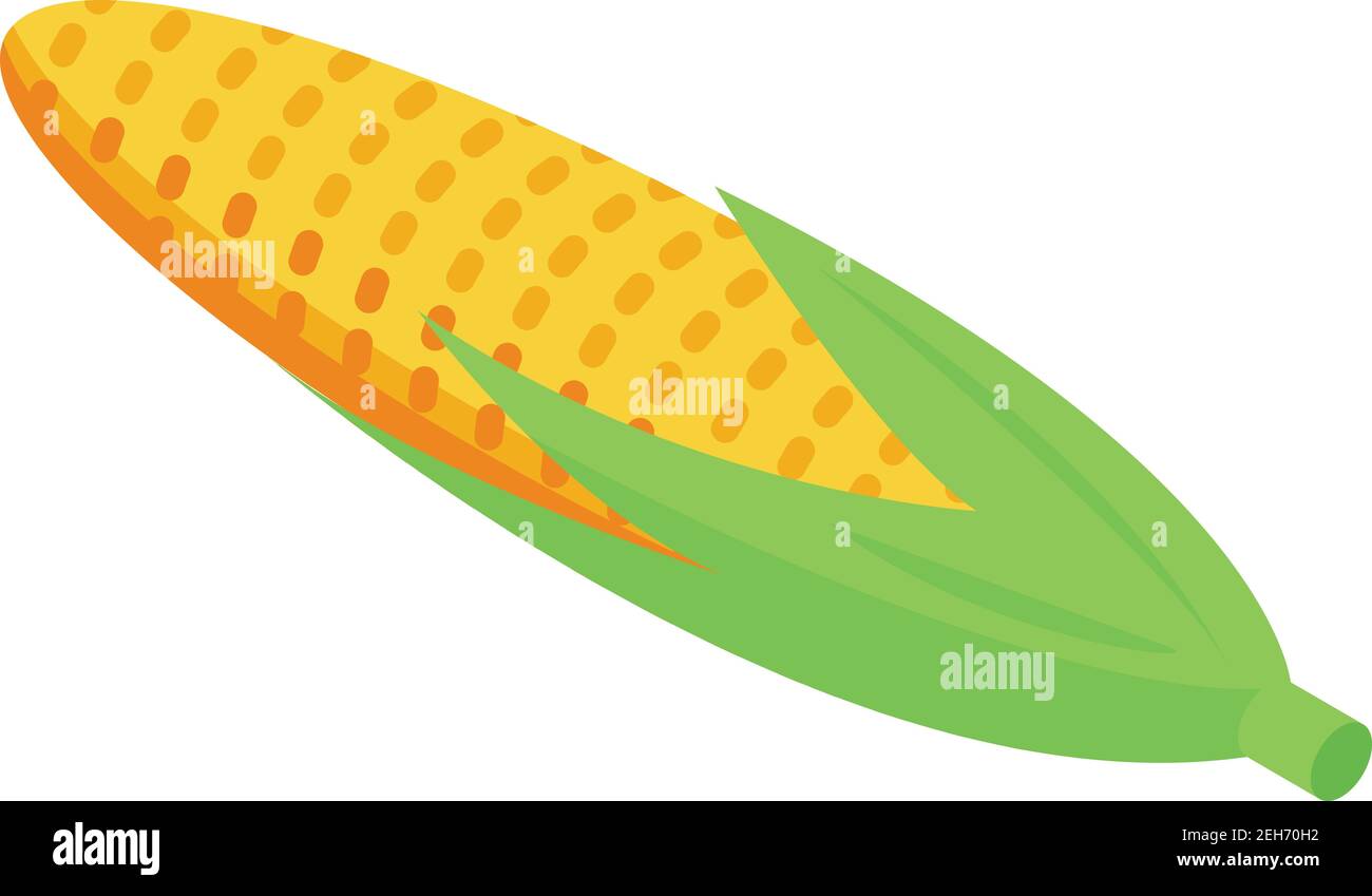 Corn icon. Isometric of corn vector icon for web design isolated on ...