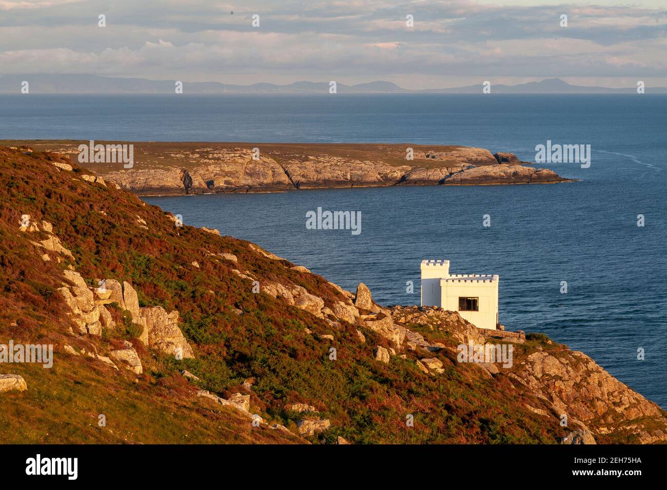 Ellin's tower on the cliffs at South Stack, Anglesey, North Wales Stock
