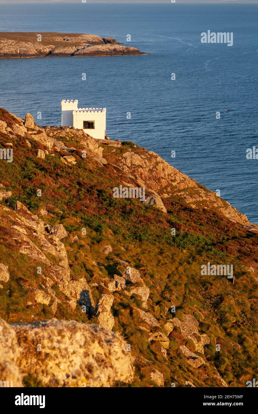 Ellin's tower on the cliffs at South Stack, Anglesey, North Wales Stock Photo