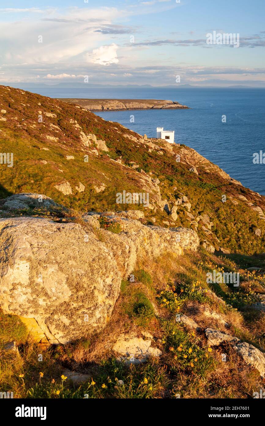 Ellin's tower on the cliffs at South Stack, Anglesey, North Wales Stock Photo