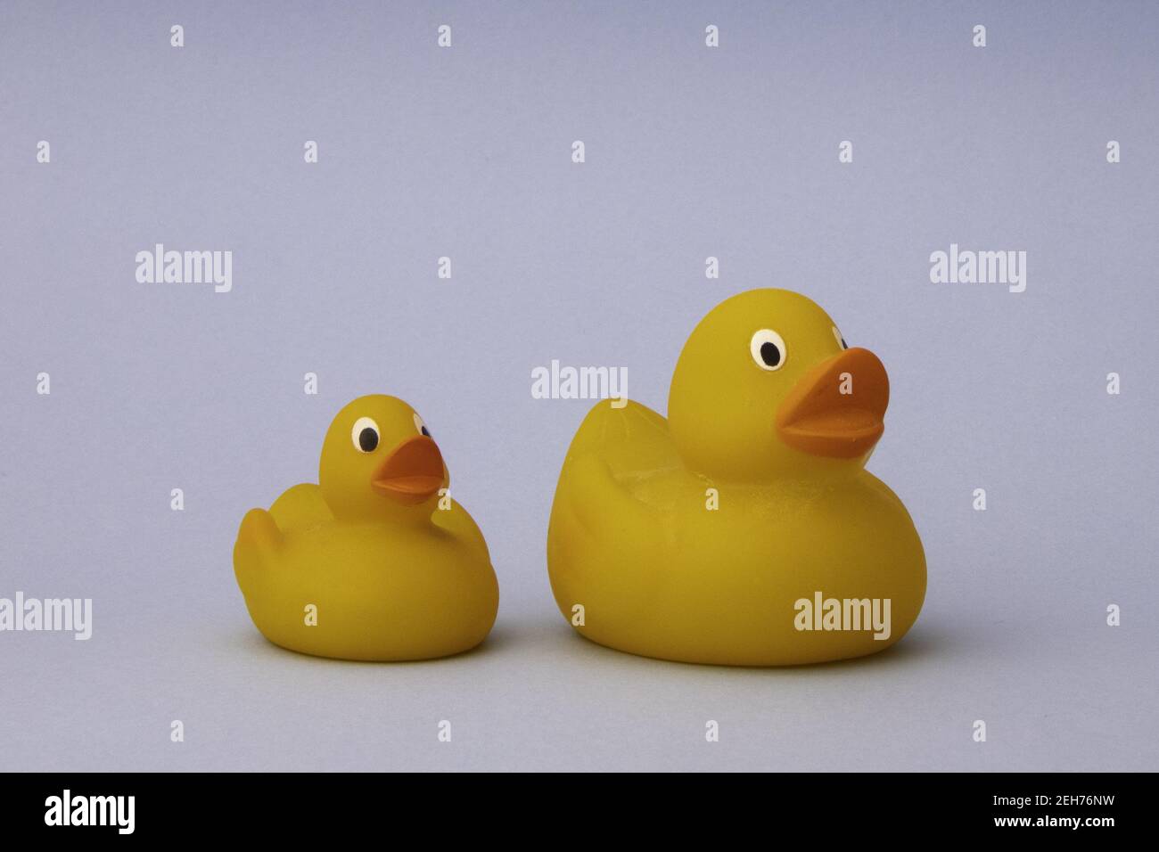 Rubber duck toys isolated on a white background Stock Photo - Alamy
