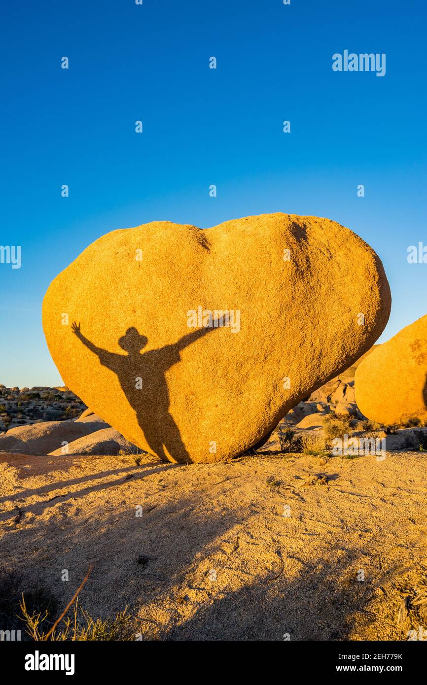 Heart shaped boulder with shadow of man with arms outstretched. In golden evening light at Joshua Tree National Park, CA Valentine card appropriate. Stock Photo