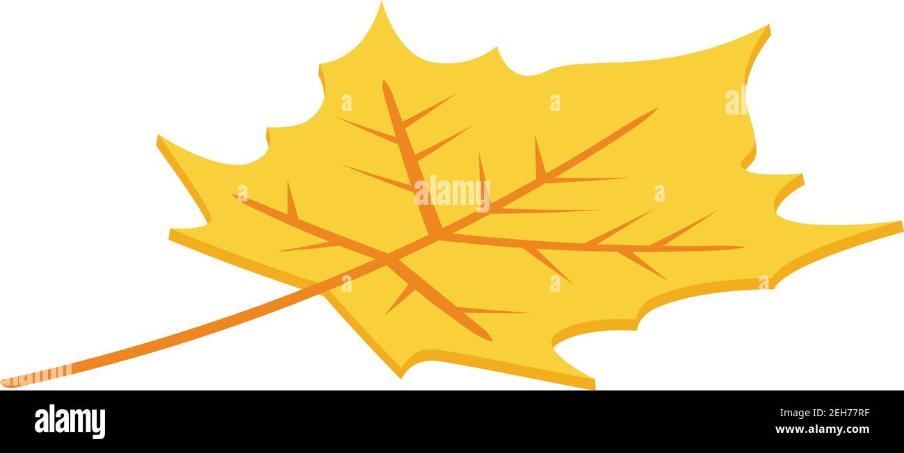 Autumn leaf icon. Isometric of autumn leaf vector icon for web design ...