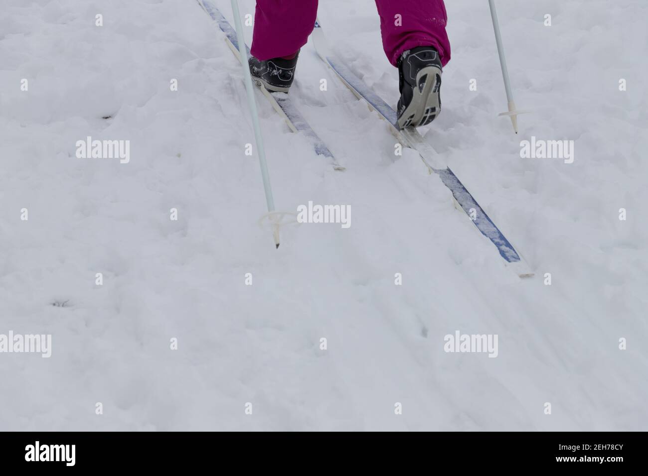 close-up of the feed with cross-country skiing in the snow from behind Stock Photo