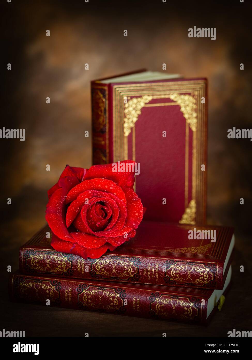 Red rose with classic literature Stock Photo Alamy