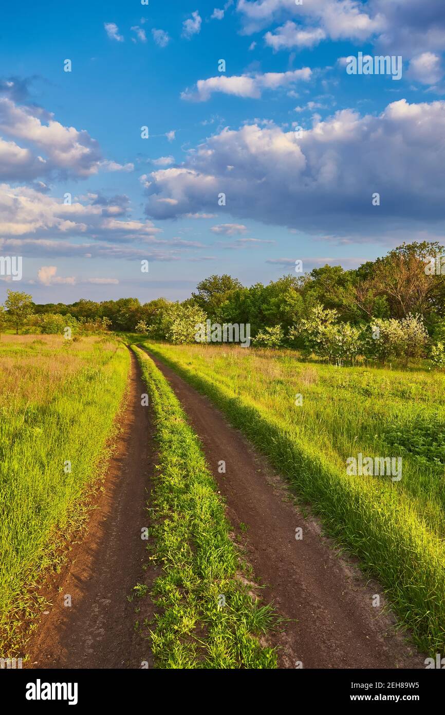 Summer landscape with green grass, road and clouds Stock Photo - Alamy