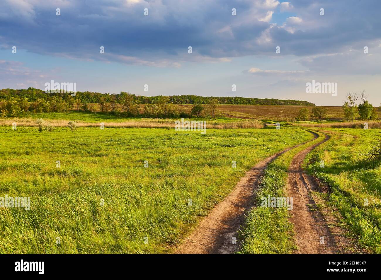 Summer landscape with green grass, road and clouds Stock Photo - Alamy