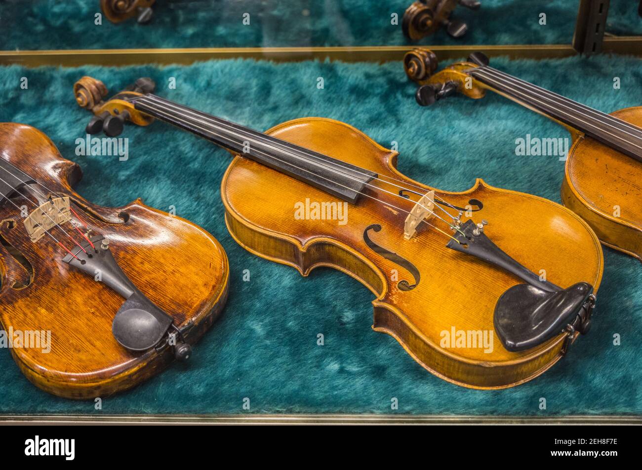 A couple of old antique violins on display inside a glass case for